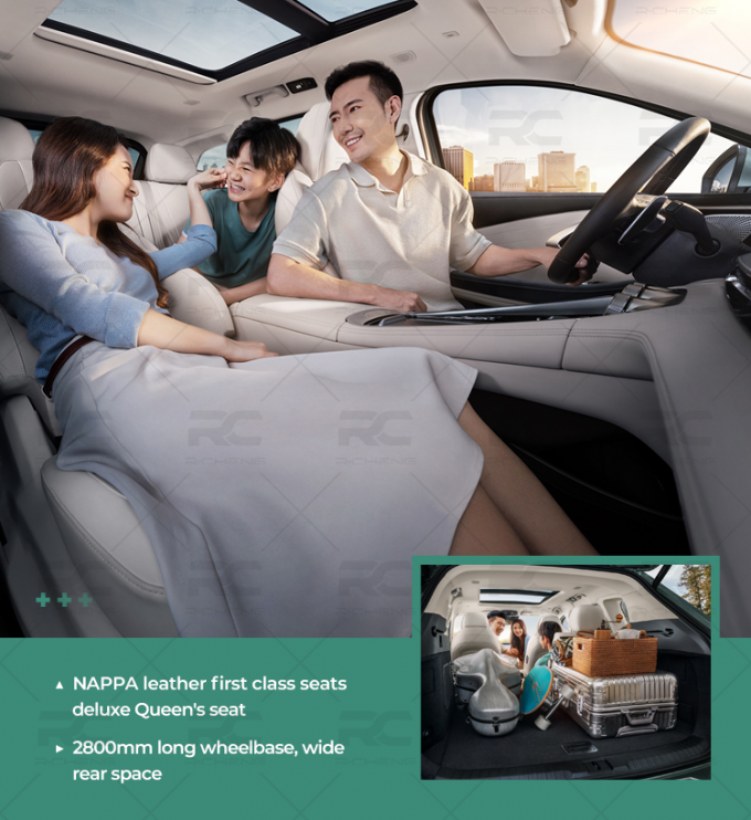 Ферзя seatsdeluxe первого класса NAPPA колесная база места 2800mm кожаного длинная, widerear космос